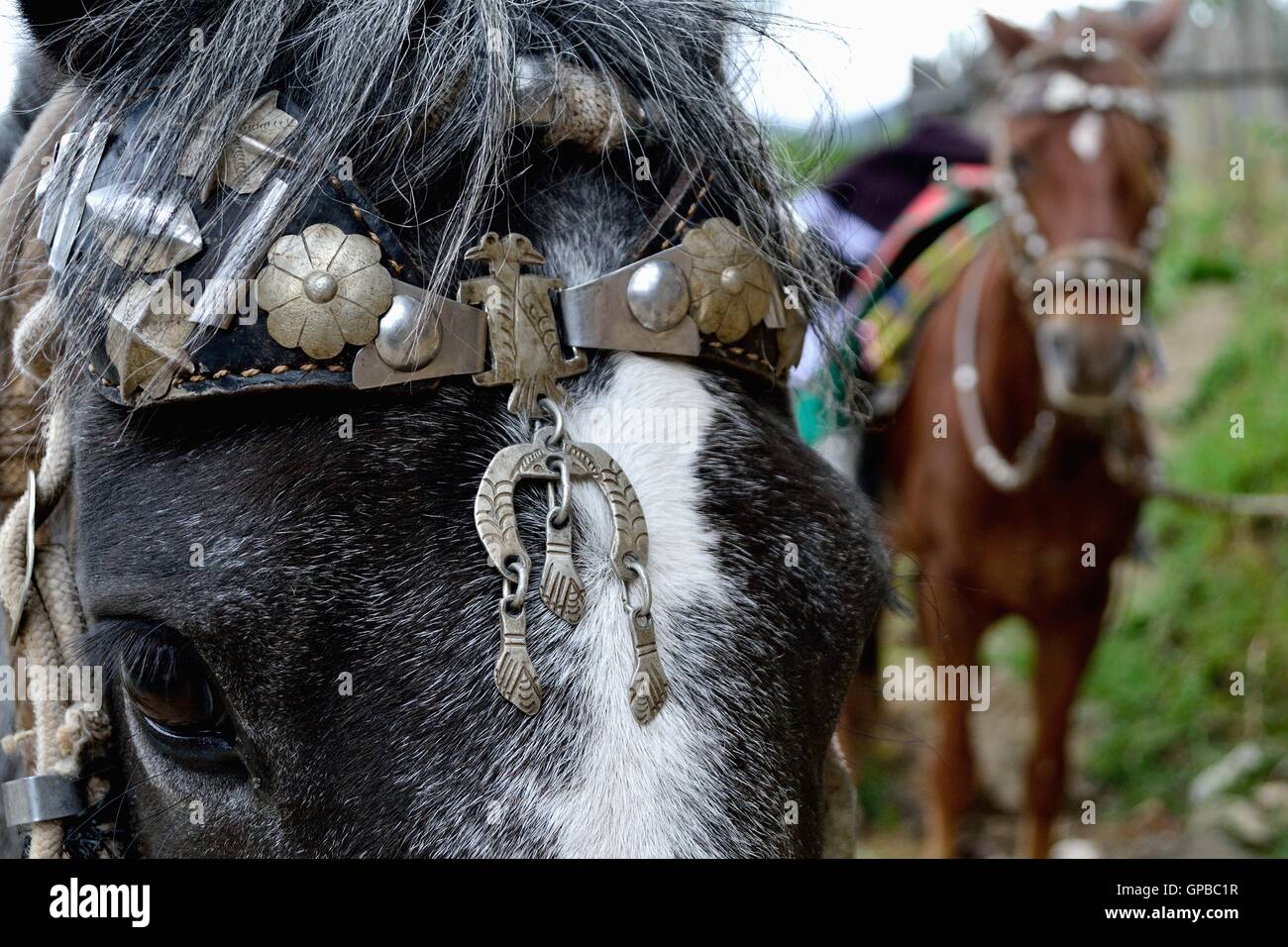 Silver ornament - Horse race - Fiestas de la Virgen del Carmen and Fiestas Patrias ( Independence Day ) in Sapalache " .-  Peru Stock Photo