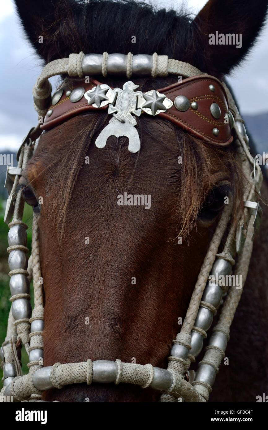 Silver ornament - Horse race - Fiestas de la Virgen del Carmen and Fiestas Patrias ( Independence Day ) in Sapalache ' -  PERU Stock Photo