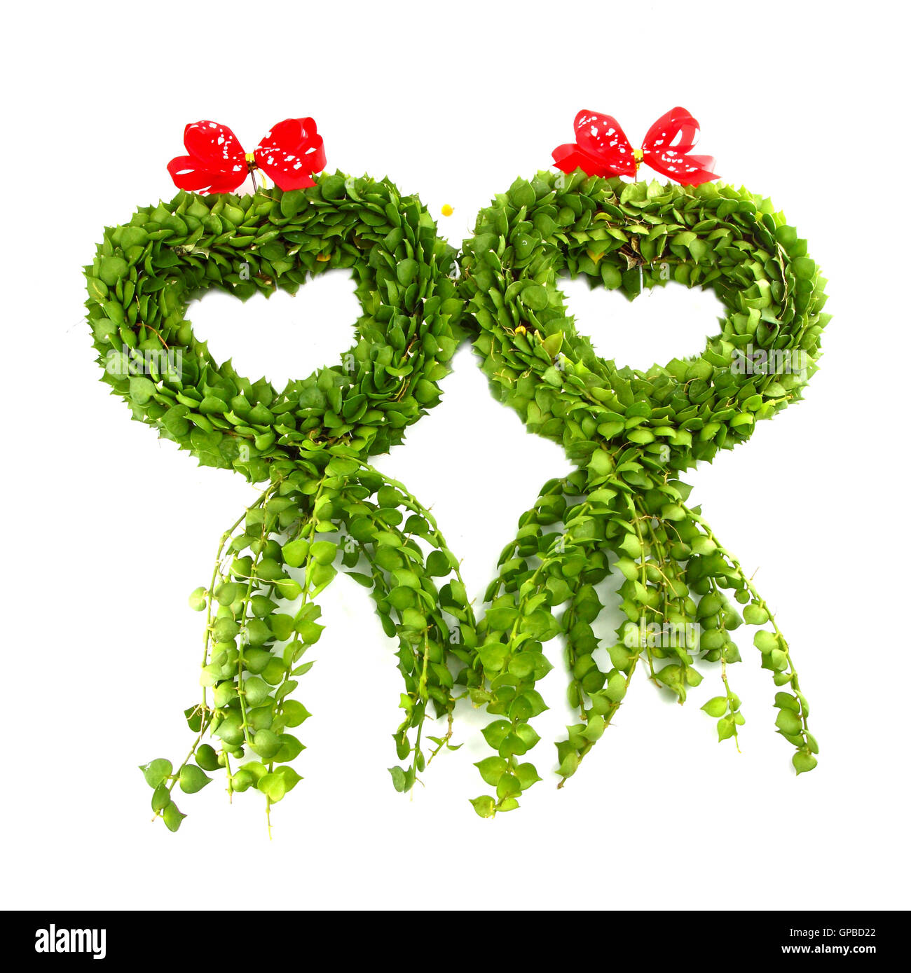 Heart shape from green Leaves on white background Stock Photo - Alamy