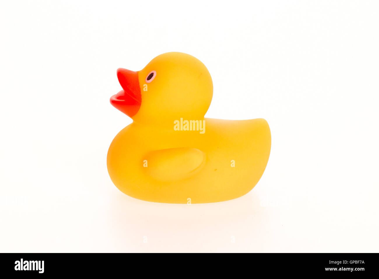 Orange duck isolated Stock Photo - Alamy