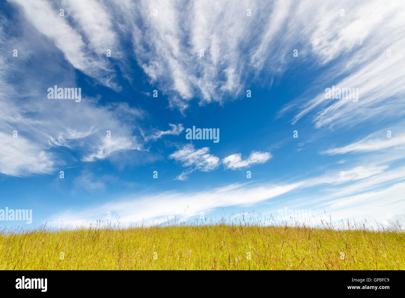 Grass field under blue cloudy sky Stock Photo - Alamy