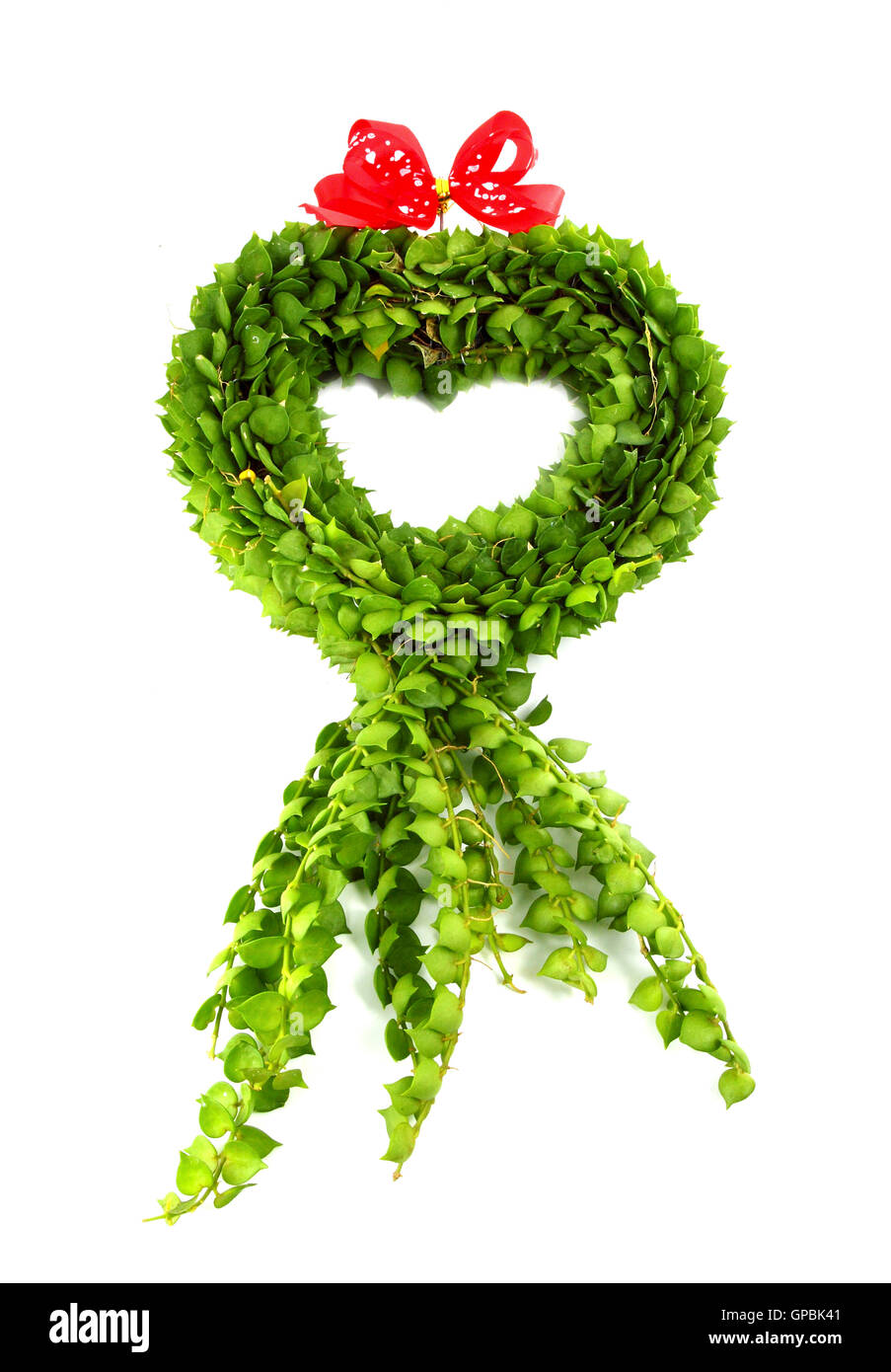 Heart shape from green Leaves on white background Stock Photo - Alamy