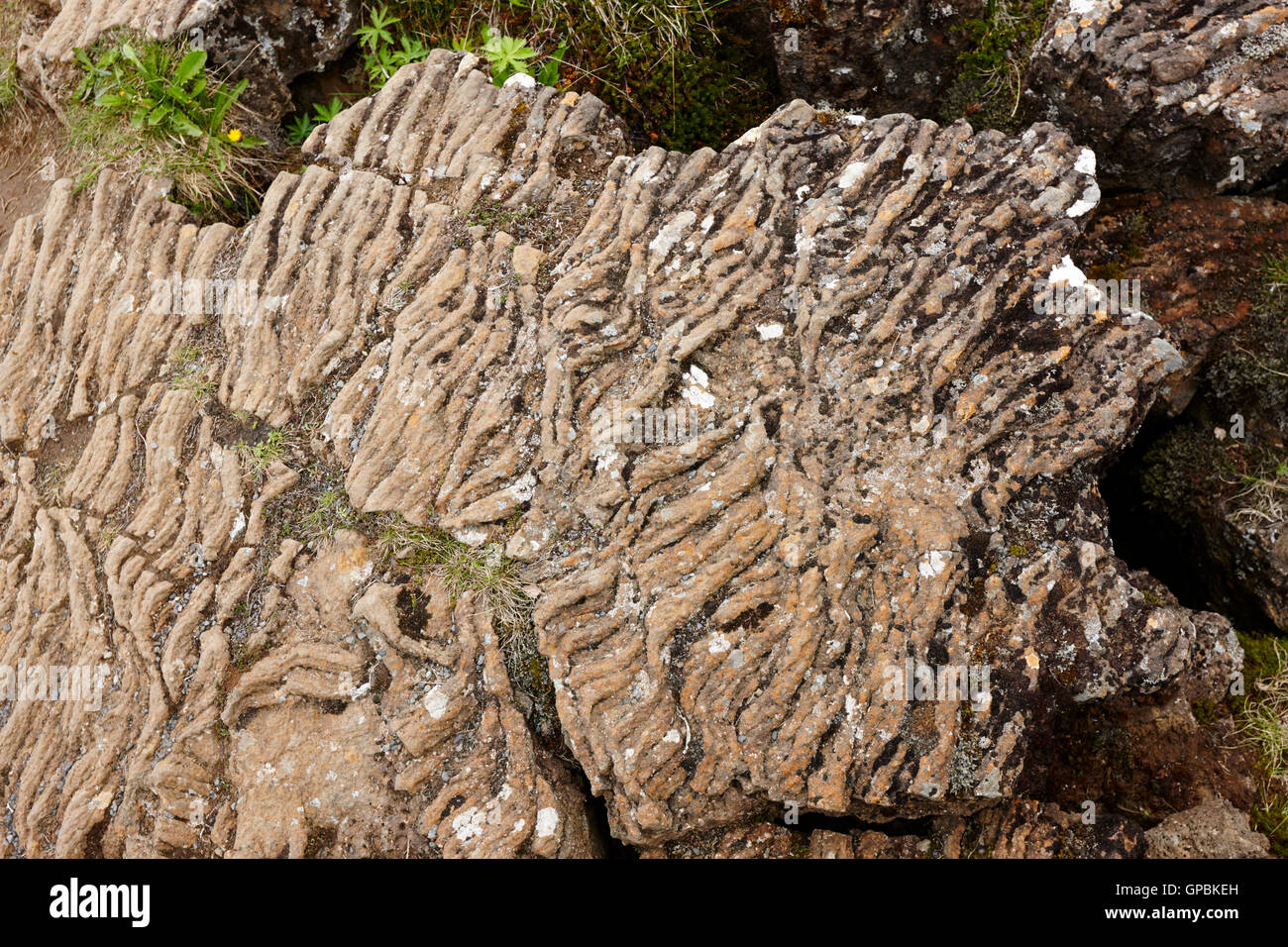 rope igneous rock formations from cooled lava thingvellir Iceland Stock Photo