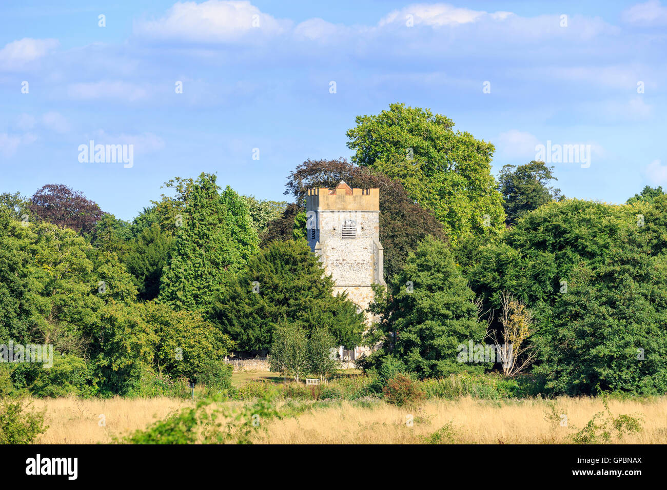 Church of St Mary the Virgin, Send, with typical square tower, in pretty leafy Surrey countryside in summer on a sunny day Stock Photo