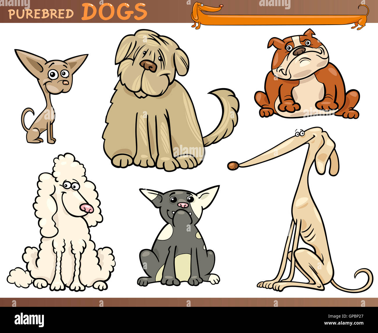purebred dogs cartoon set Stock Photo - Alamy
