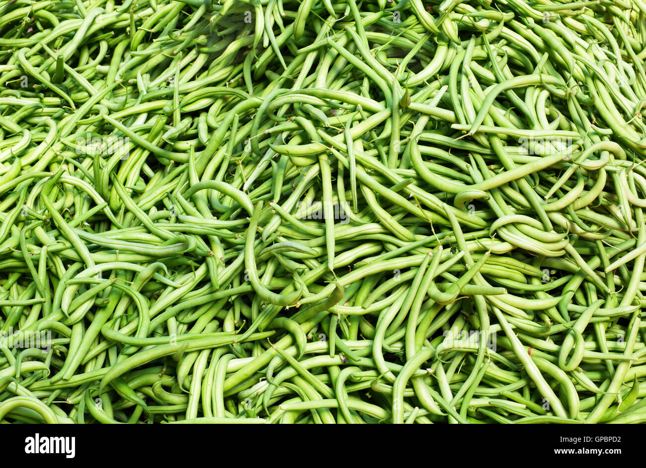 Green string Beans Stock Photo Alamy