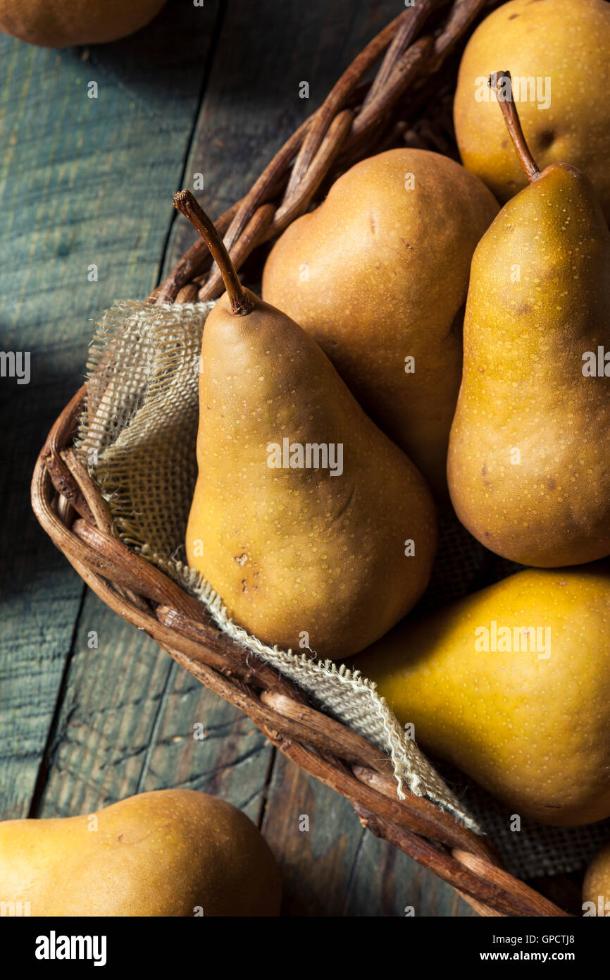 Raw Organic Green and Brown Bosc Pears Ready to Eat Stock Photo Alamy