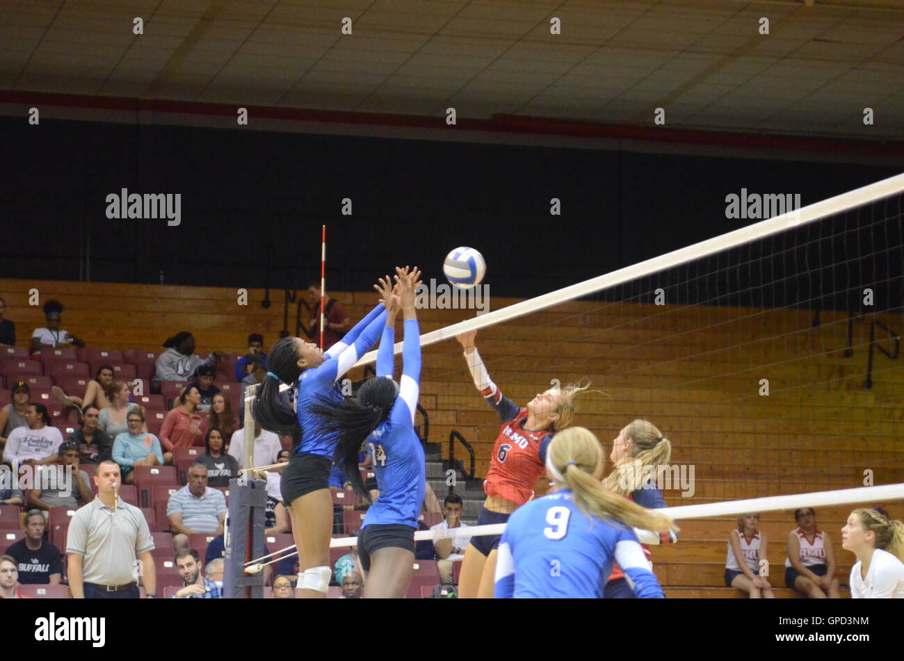 Robert Morris V Buffalo womens volleyball Stock Photo Alamy