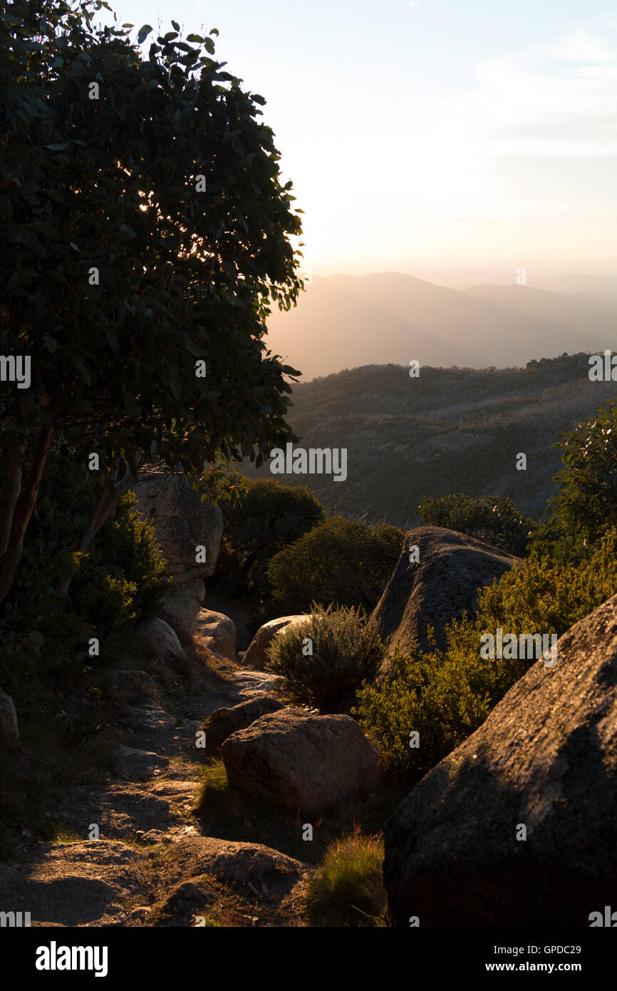 Path to the top of Mount Buffalo in Victoria Stock Photo