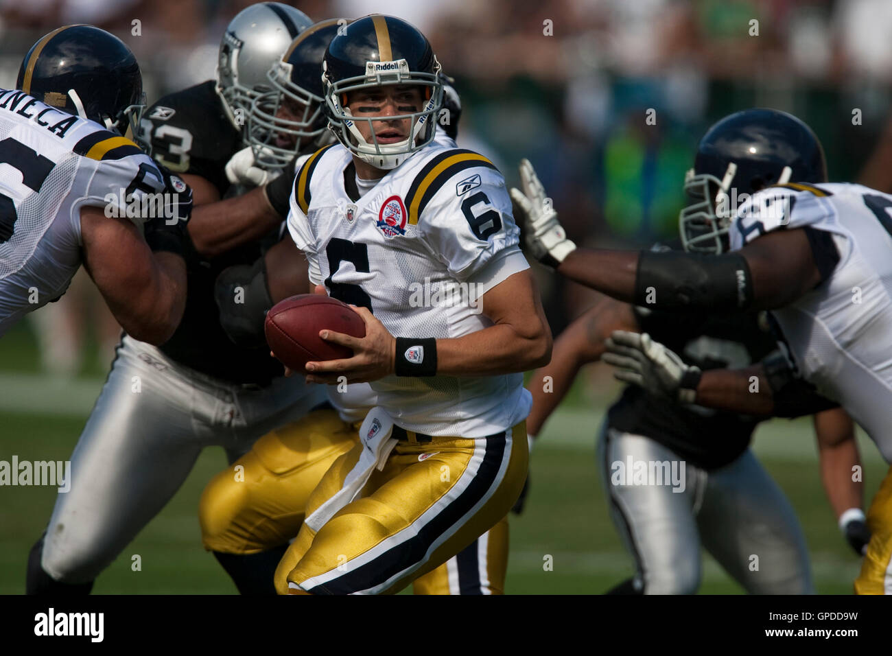 Mark Sanchez #6 quarterback of the New York Jets Stock Photo - Alamy