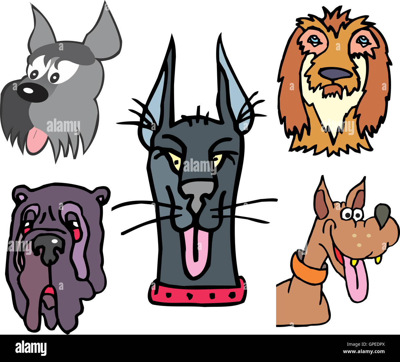 Set of funny dog heads. Vector cartoon illustrations Stock Photo - Alamy