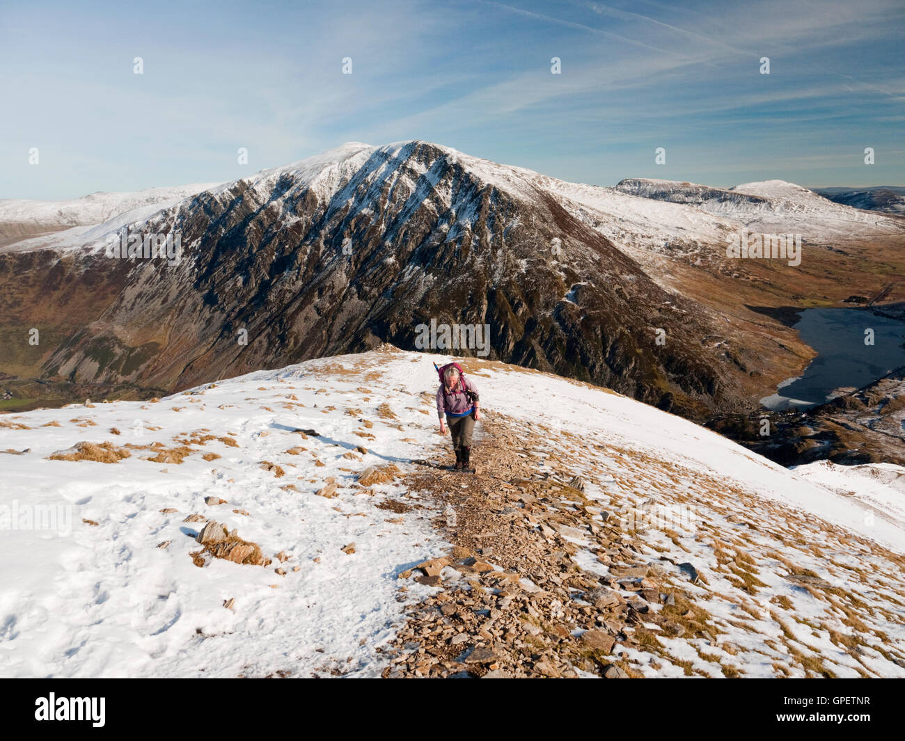 A female hill walker climbs Y Garn in Snowdonia's Glyderau mountains. Pen yr Ole Wen and the Carneddau provide the backdrop Stock Photo