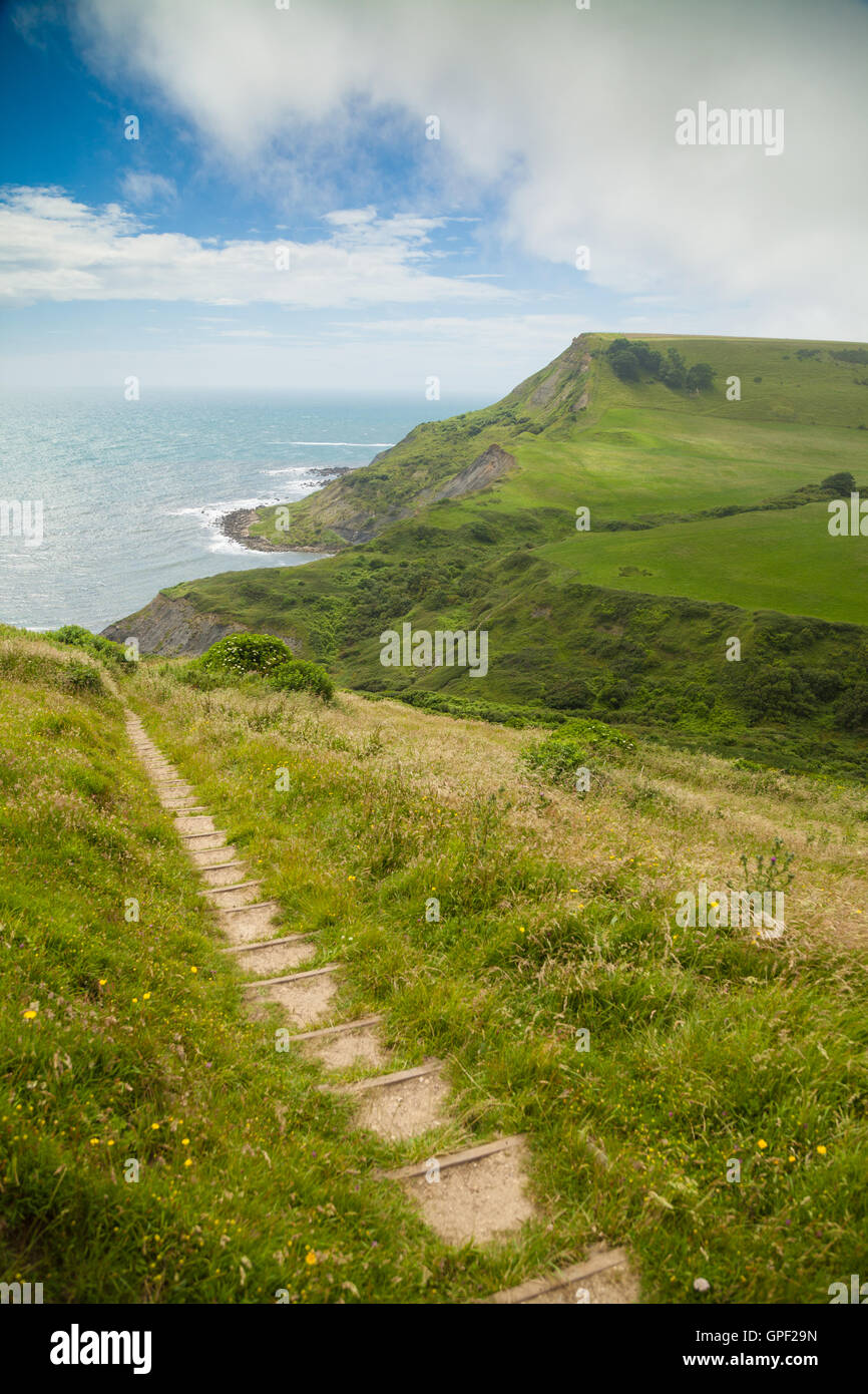 Steps down to Chapman's Poll along the South Coast on the Isle of Purbeck Dorset. Stock Photo