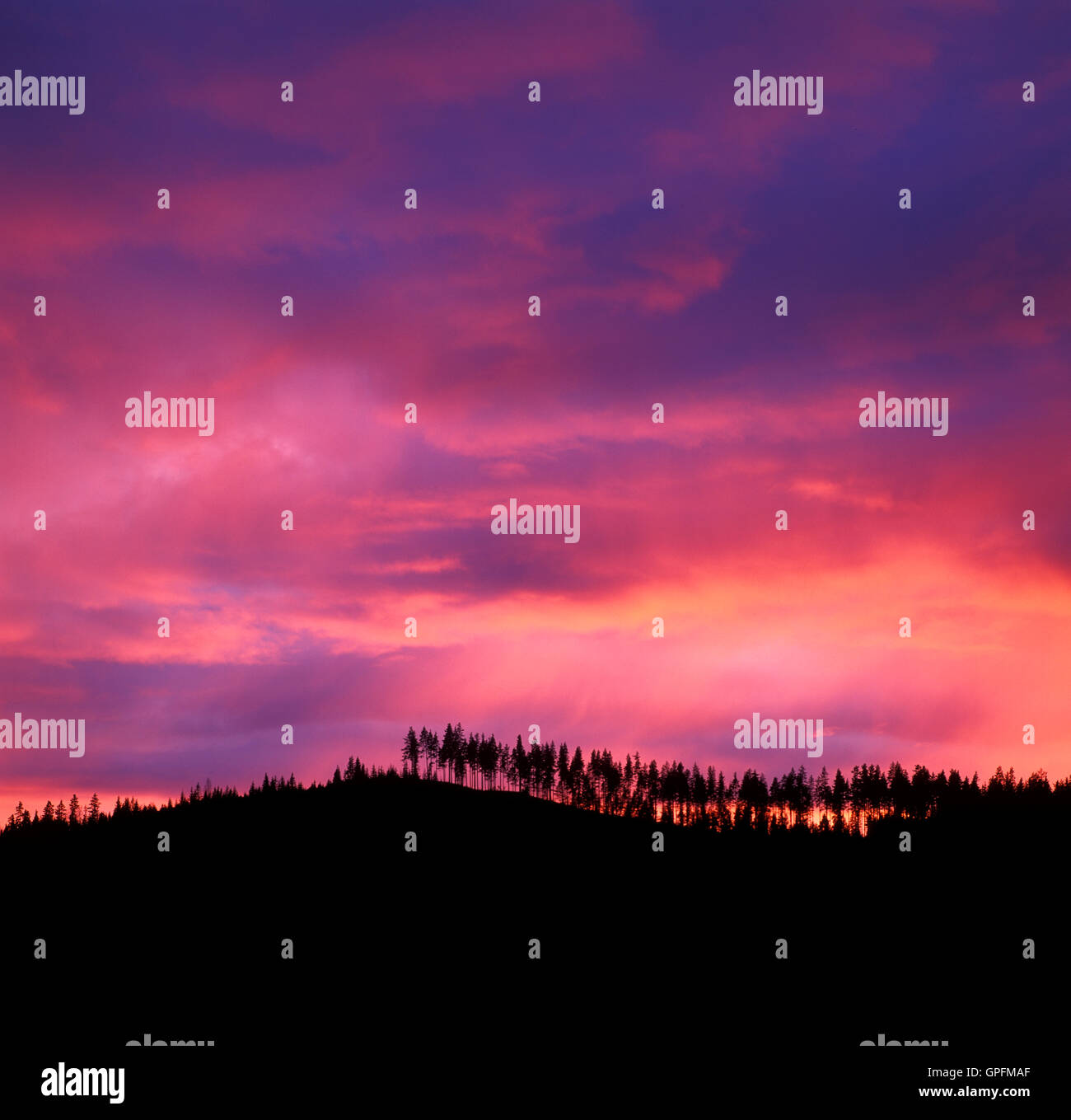 Red sky with trees hi-res stock photography and images - Alamy