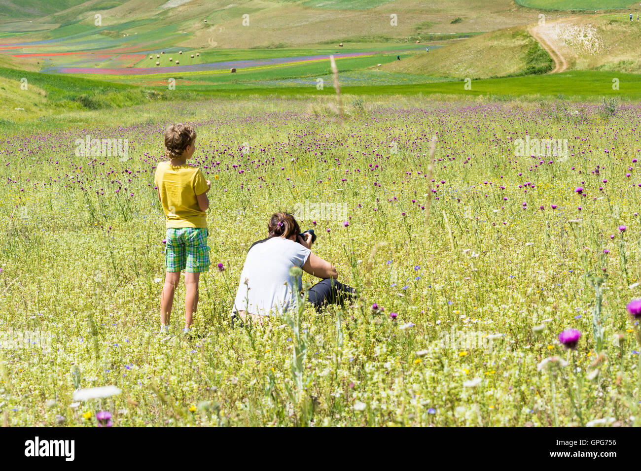 Castelluccio,Italy-july 9,2016:Woman and child look and take photograf of multicolored flower meadows on the plateau of Castellu Stock Photo