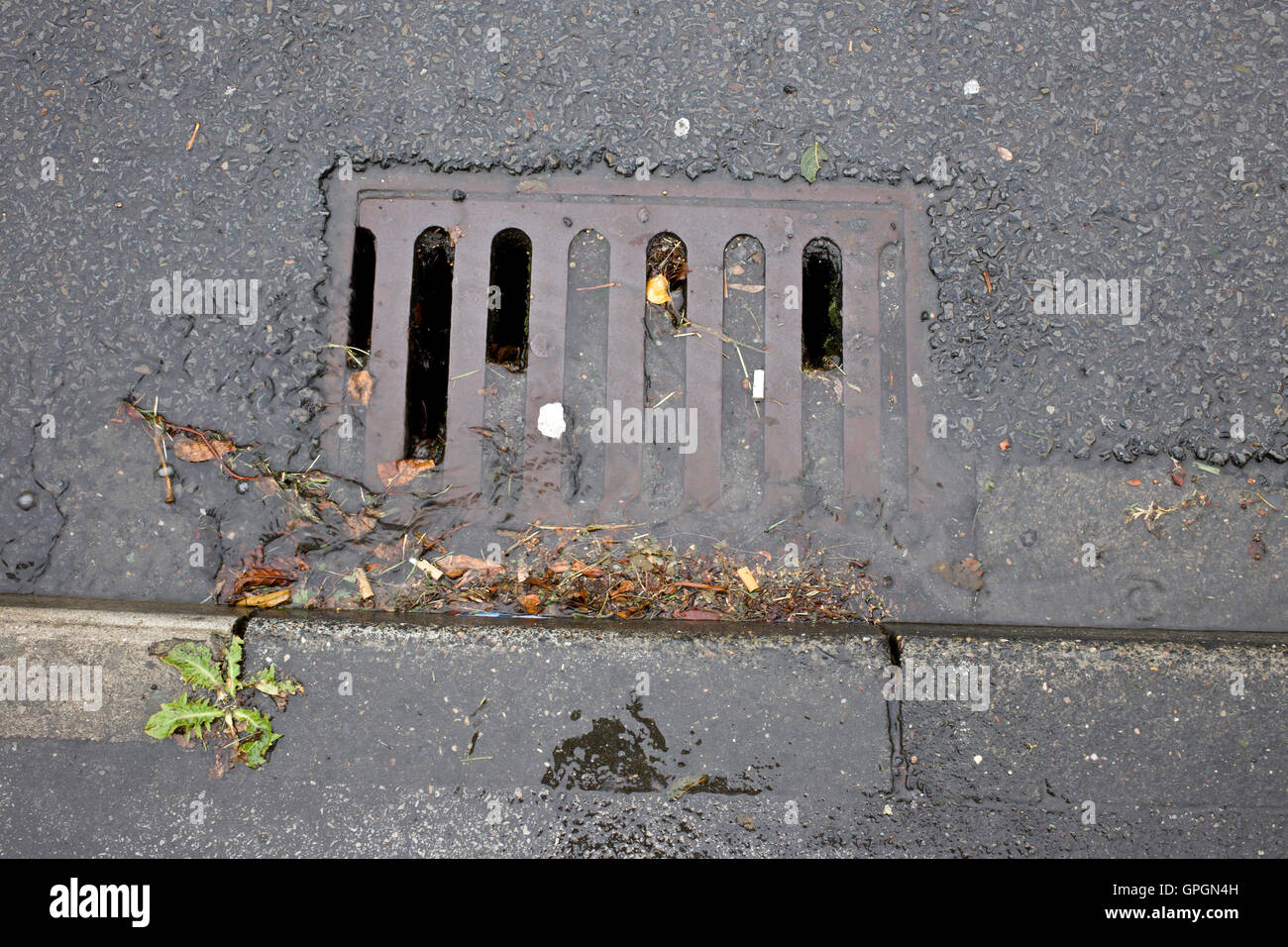Blocked drains hires stock photography and images Alamy