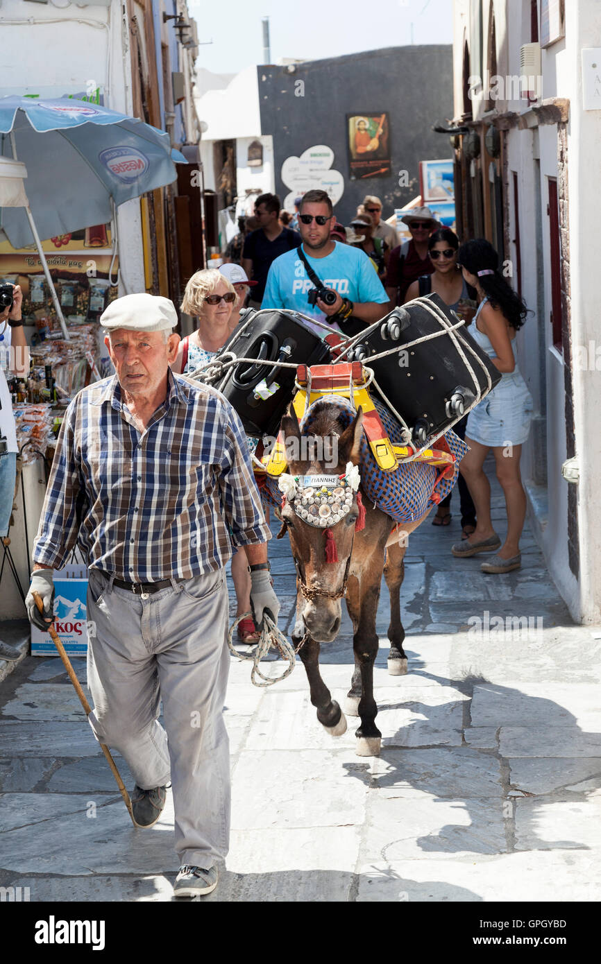 A luggage porter uses a donkey to navigate the narrow and steep paths in Oia on the Greek island of Santorini Stock Photo
