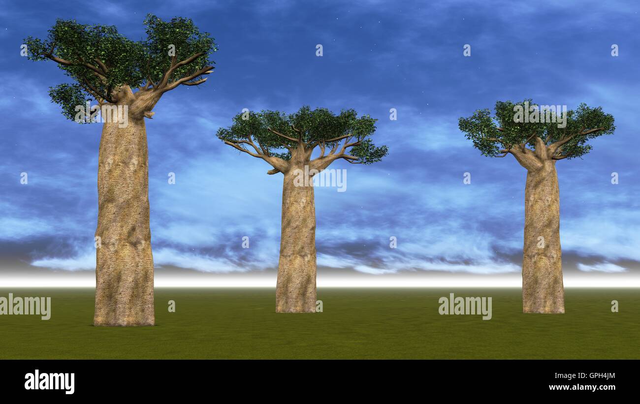 Savannah landscape dusk natural hi-res stock photography and images - Alamy