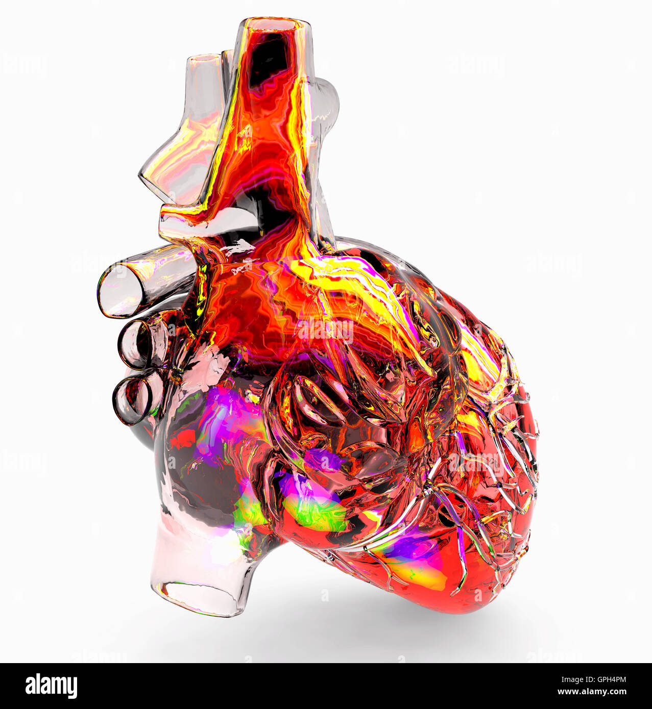 Model of artificial human heart Stock Photo Alamy