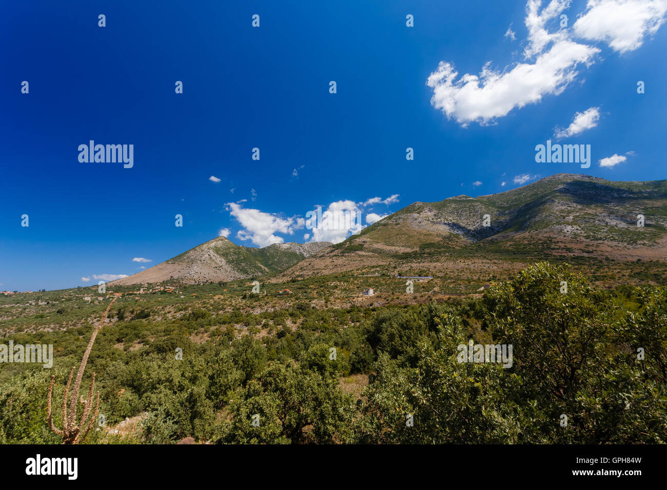 The Taygetos mountains covered in green trees against a partly cloudy sky. Stock Photo