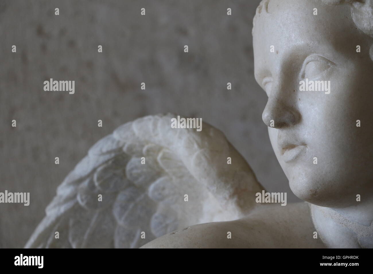 Antique sculpture in the Capitoline museums in Rome Stock Photo - Alamy