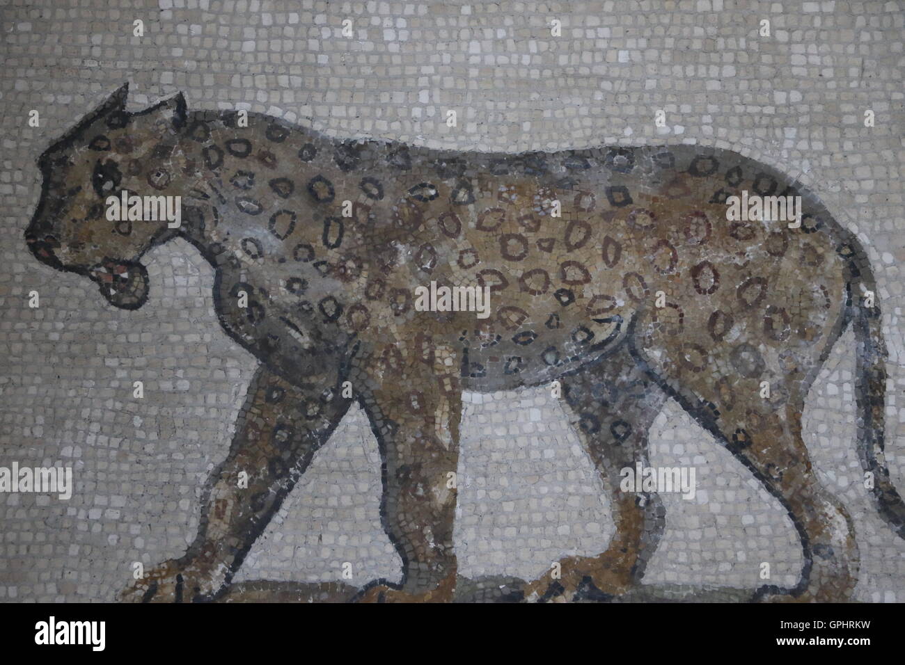 Decorative mosaic in the Vatican Museums Stock Photo