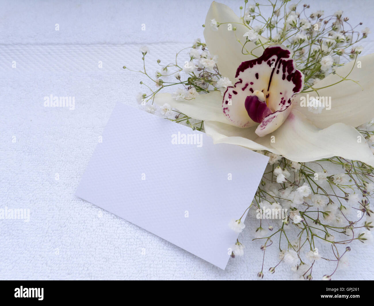 White orchid flower, with sprinkles of violet and invitation or greeting card on the white terry towel Stock Photo