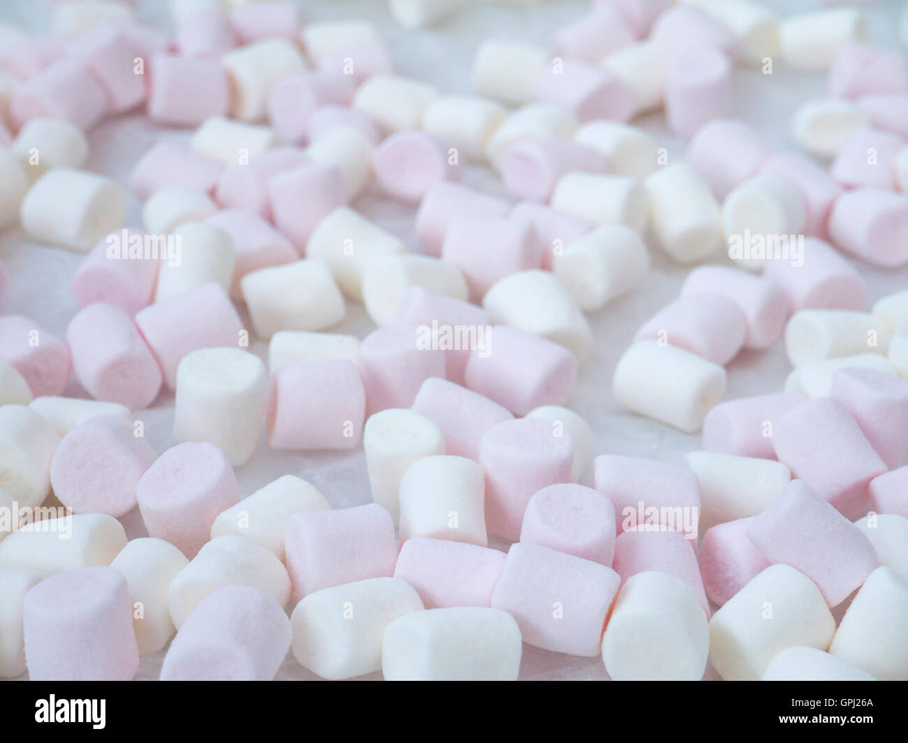 White and pink marshmallow shallow focus background Stock Photo