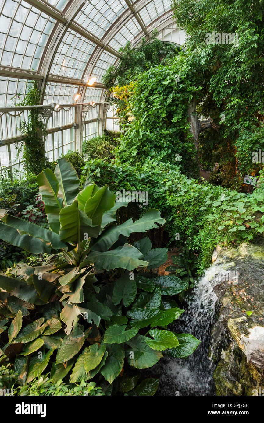 Butterfly house vienna hires stock photography and images Alamy