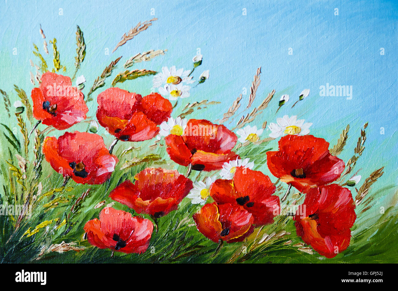 oil painting - poppies in the field, flowers, spring Stock Photo - Alamy, image size:1300x953