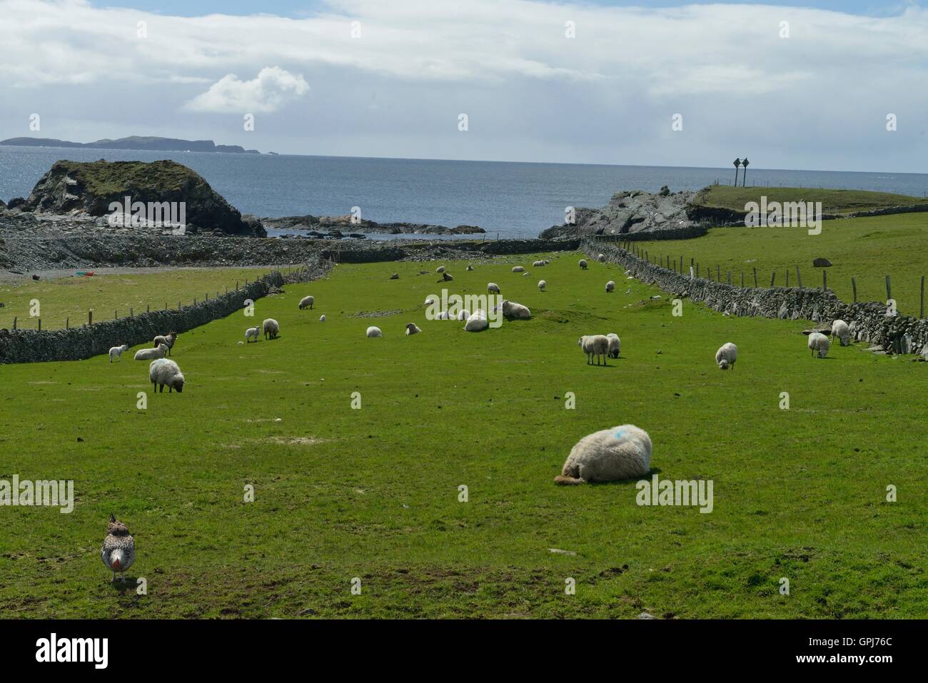 Inishbofin is an Irish island in County Galway 8 km from the Connemara ...