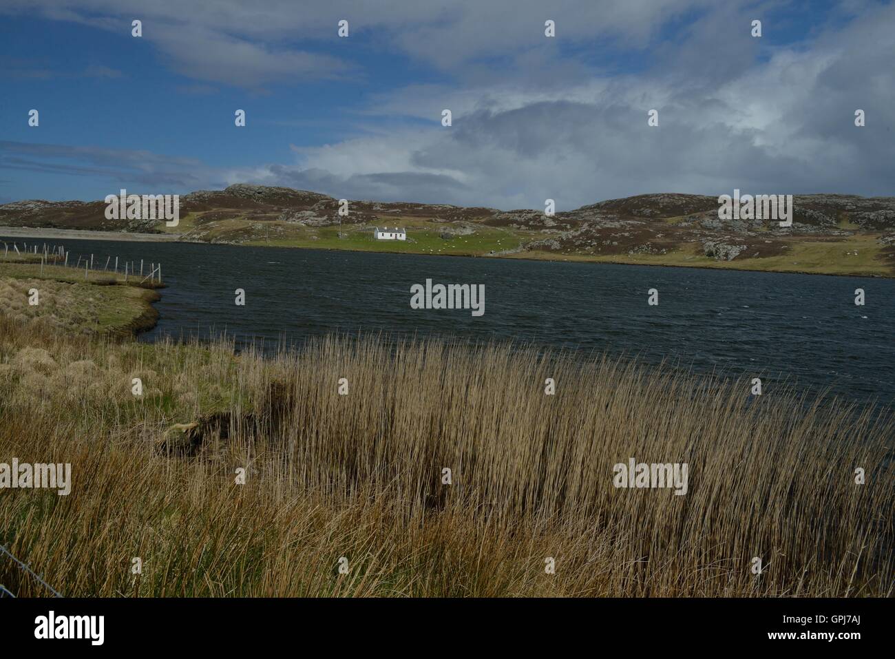 Inishbofin is an Irish island in County Galway 8 km from the Connemara ...