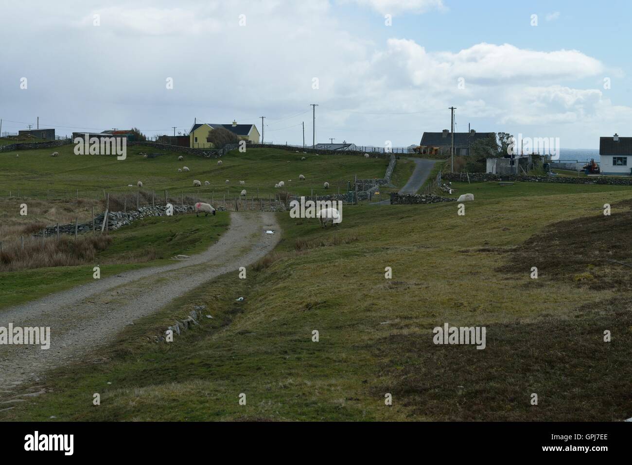 Inishbofin is an Irish island in County Galway 8 km from the Connemara ...