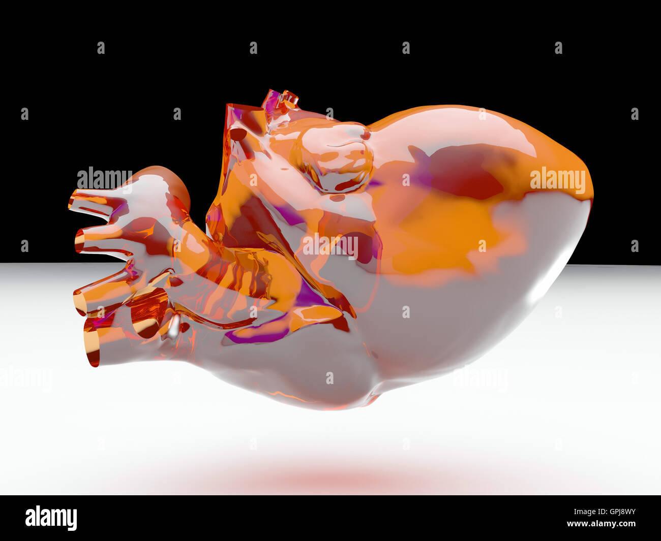 Model of human heart Stock Photo - Alamy