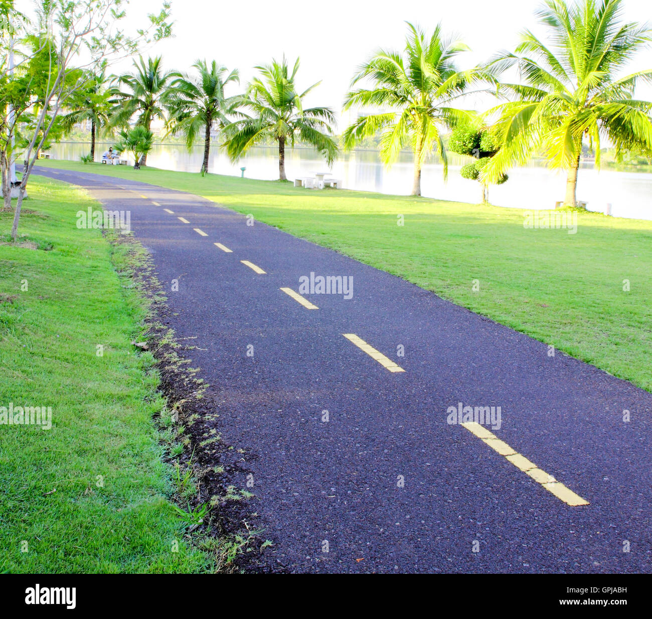sinuous bicycle path Stock Photo - Alamy