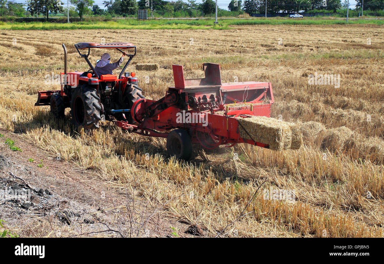 Strawer farmer and tractor packing straw in the field at Thailand Stock Photo ...