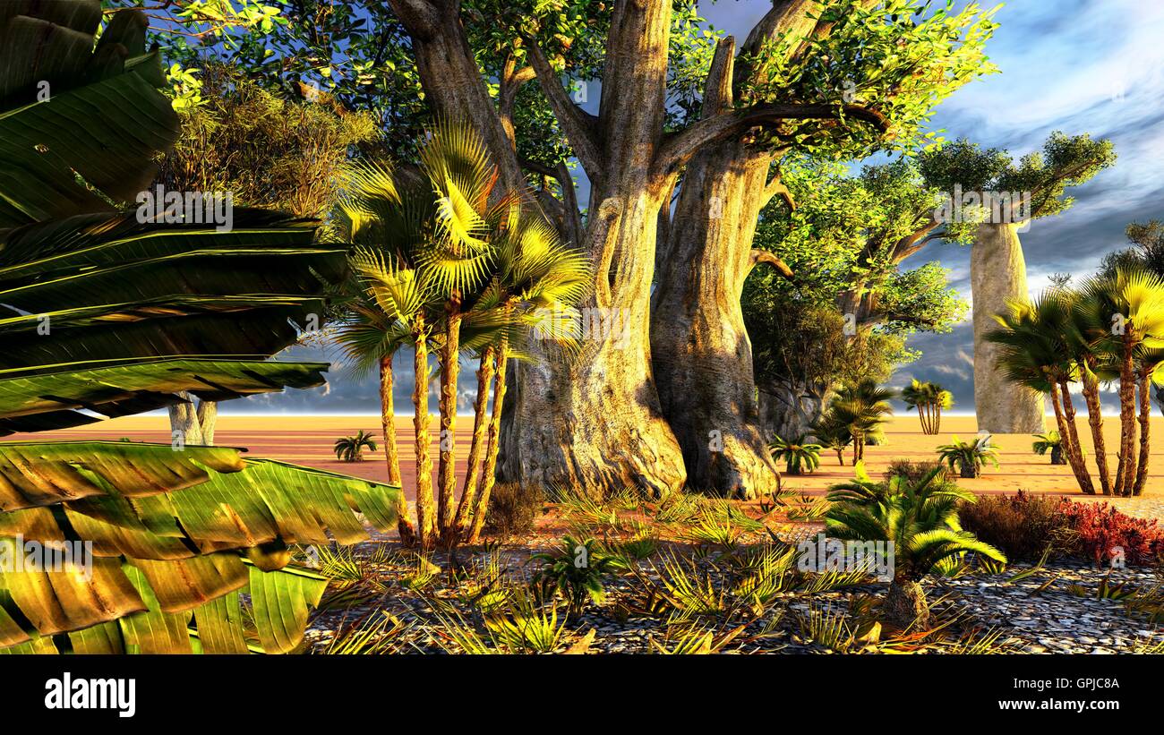 Tropical arboriculture hi-res stock photography and images - Alamy