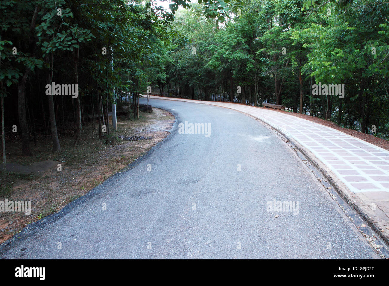 curved road with trees on both sides Stock Photo - Alamy