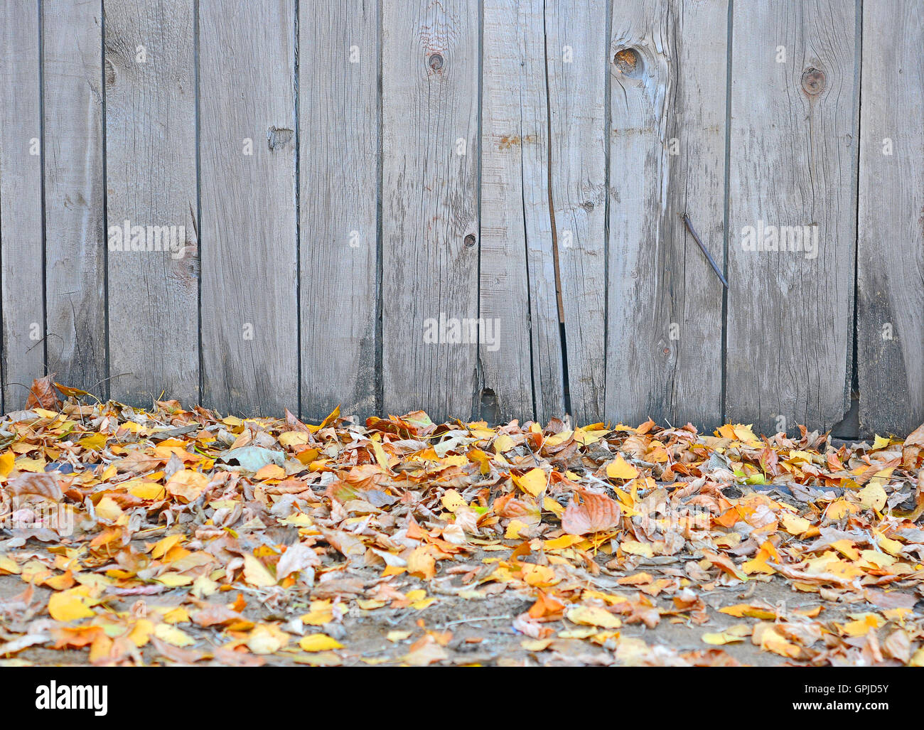 Autumn leaves over wooden background with copy space Stock Photo - Alamy