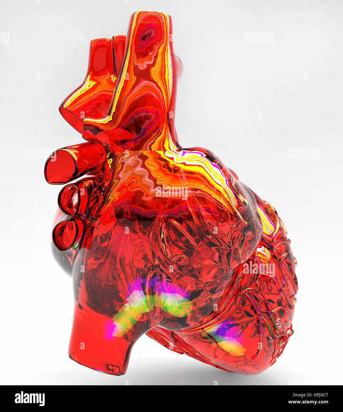Model of artificial human heart Stock Photo Alamy