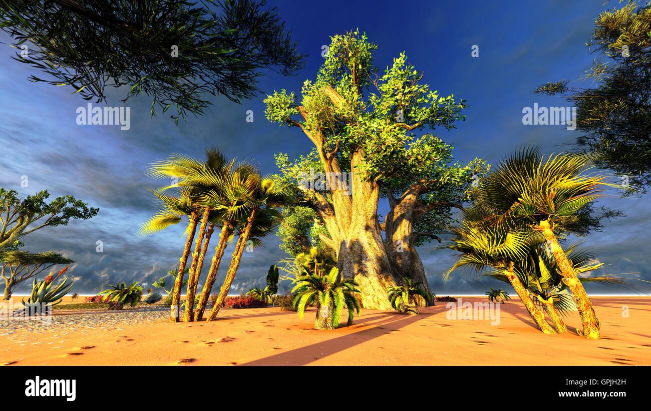 Tropical arboriculture hi-res stock photography and images - Alamy