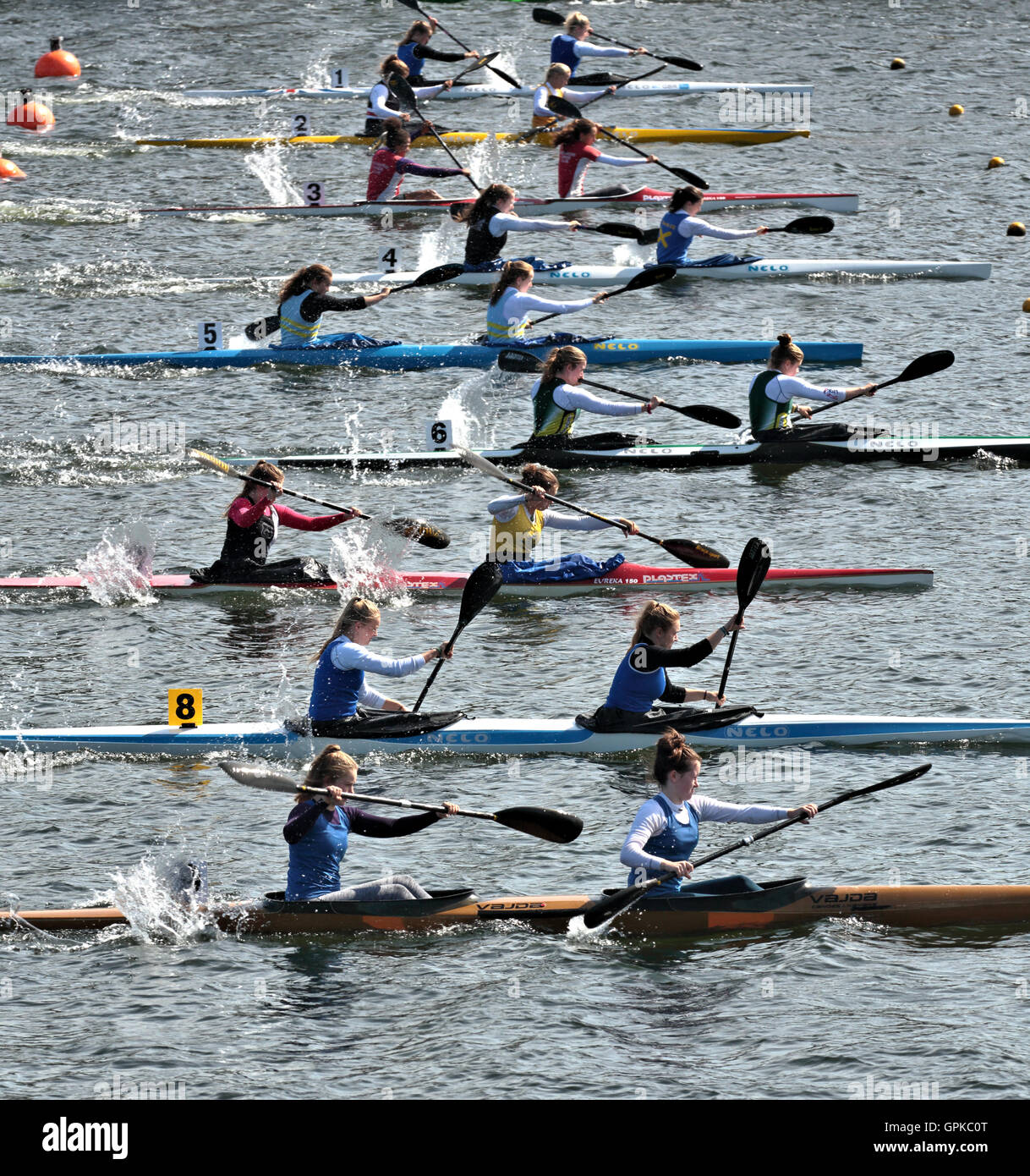 Canoe sprint hi-res stock photography and images - Alamy