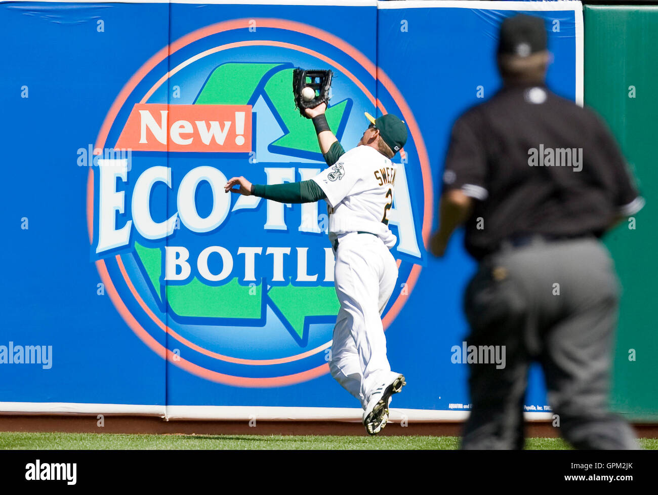 12,476 Diving Catch Stock Photos, High-Res Pictures, and Images