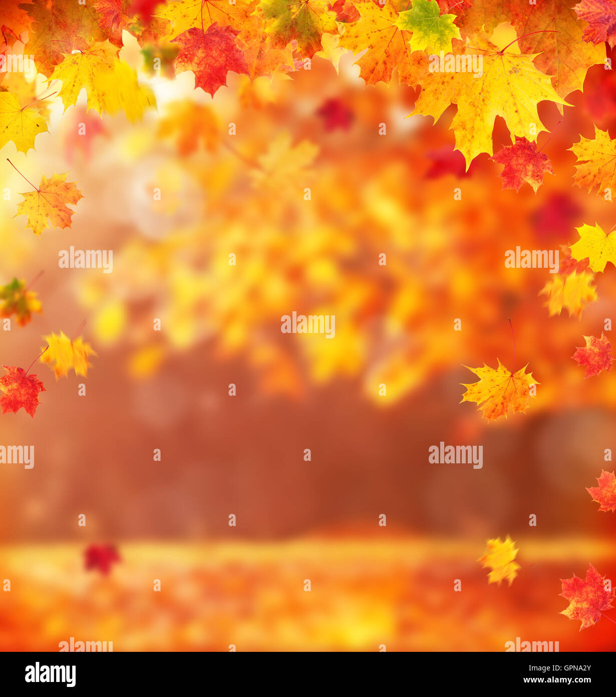 Beautiful seasonal abstract autumn background with copyspace and falling leaves Stock Photo