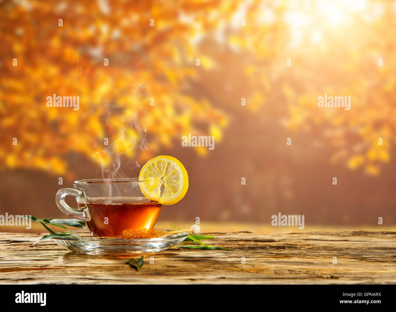 Autumn still life with tea cup on wooden planks and blur trees on background Stock Photo