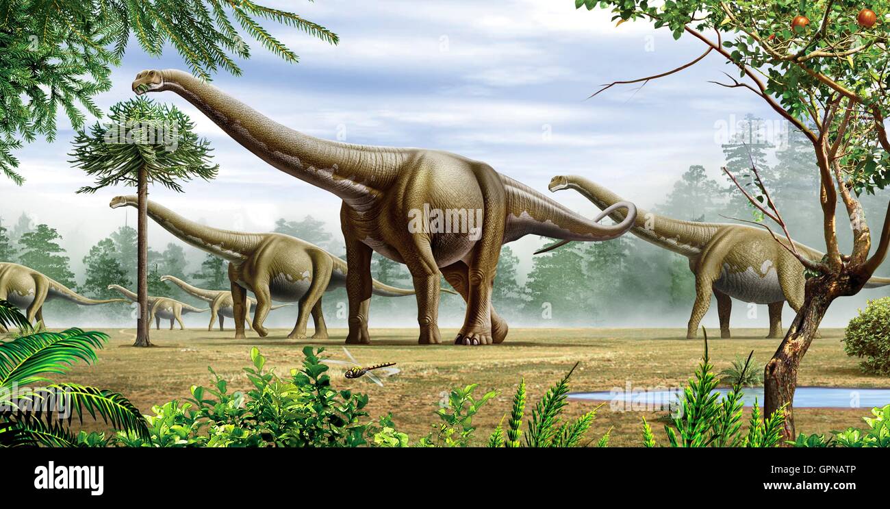 A group of Argentinosaurus dinosaurs grazing on trees and leaves Stock Photo