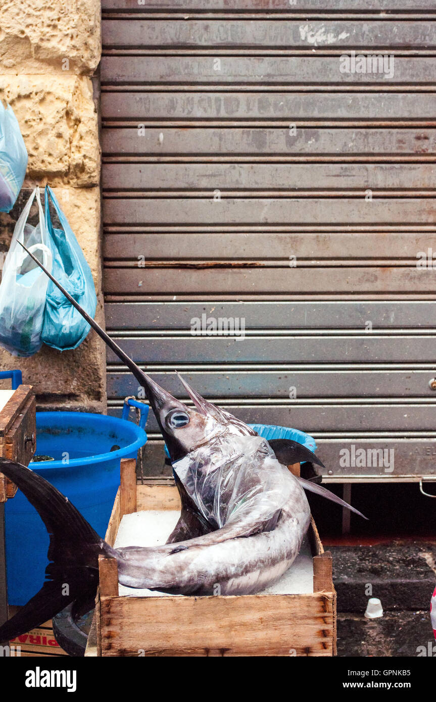 Swordfish (Xiphias gladius), for sale in Mediteranean fish market Stock Photo