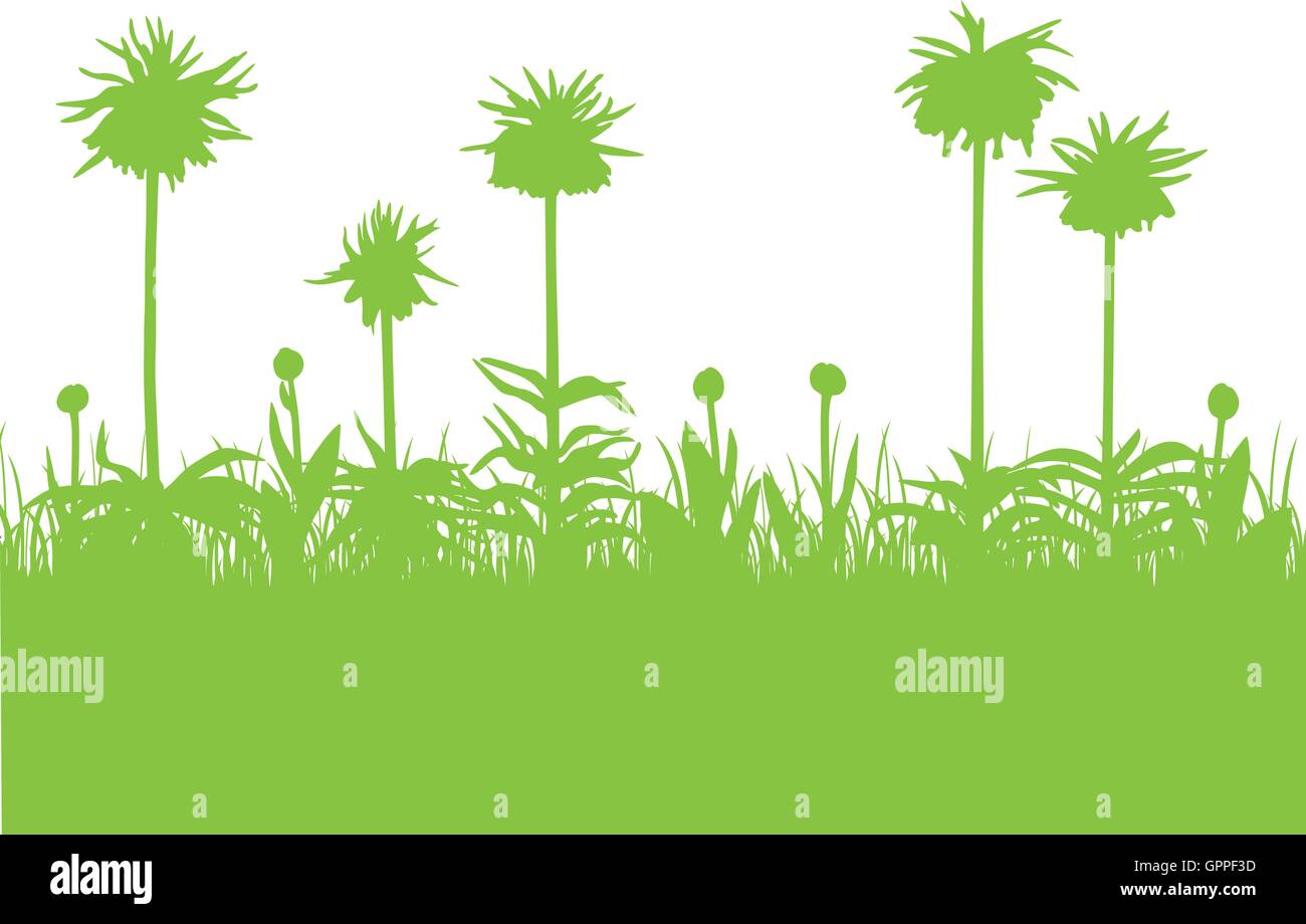Fritillaria imperialis,tulips buds and grass green silhouette Stock Vector