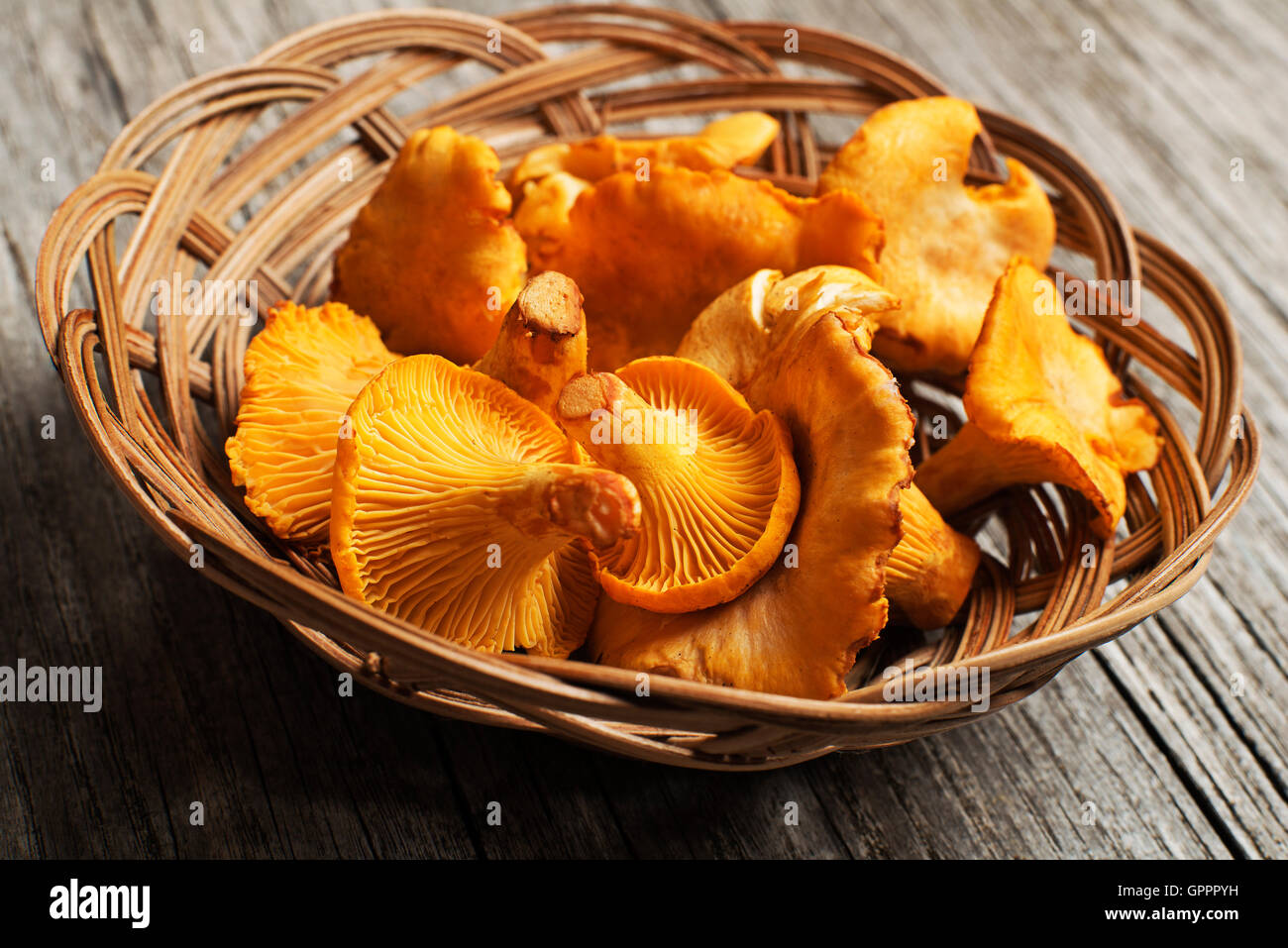 Fresh chanterelle mushrooms on a wood close up Stock Photo
