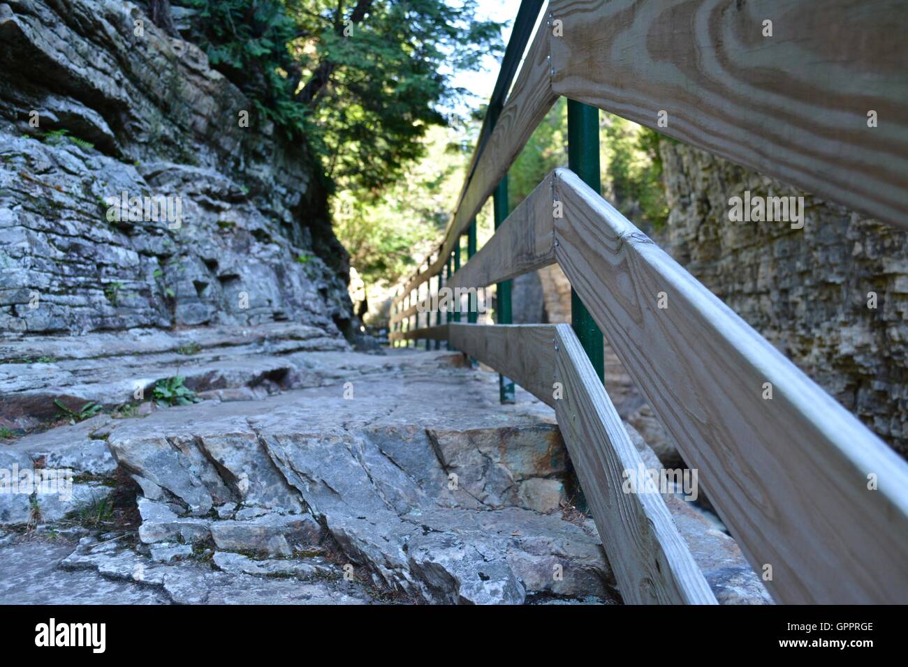 A stone nature path with a wooden and steel fence running along one side of it. Stock Photo
